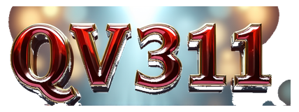 qv311 logo